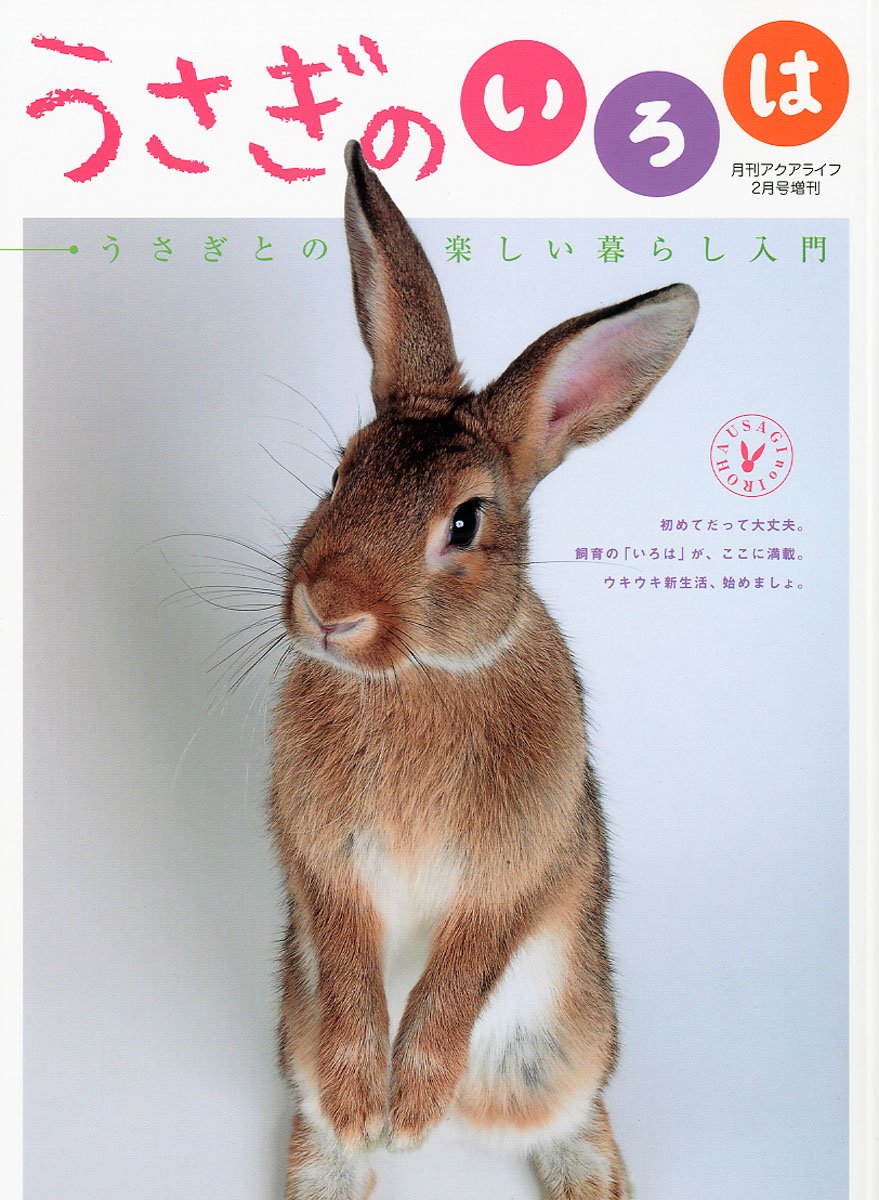Amazon.co.jp: うさぎのいろは 2011年 2月号 [雑誌] : 本